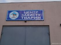 В «Центре защиты» рассказали, когда вступит в силу новая программа по регулированию численности бездомных животных