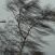 В Николаеве и области объявили штормовое предупреждение: ожидается гроза и шквальный ветер